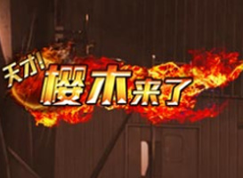 天才櫻木來了